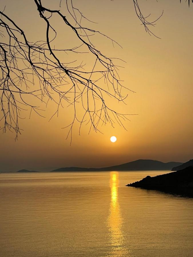 Patmos Horizon Villa Exterior photo